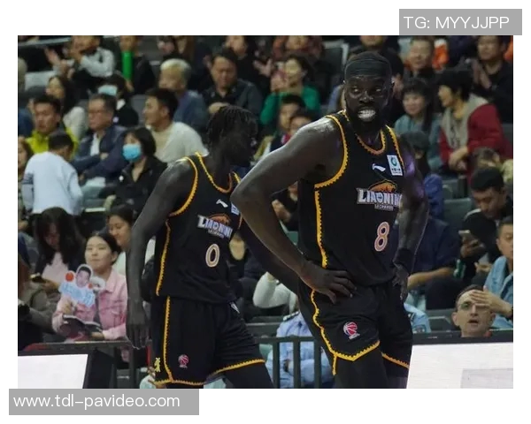 数据满分+态度满分,这样的外援山西队也要换吗? 数据满分+态度满分,这样的外援山西队也要换吗?